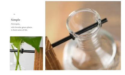 Hydroponic Glass Vase