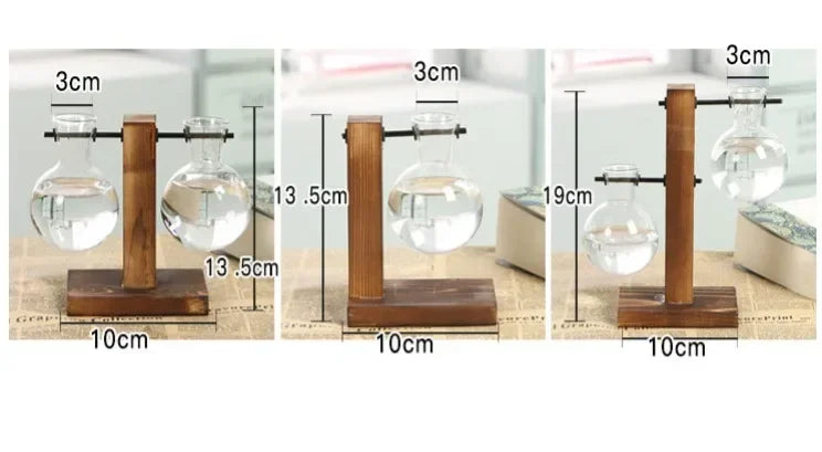 Hydroponic Glass Vase
