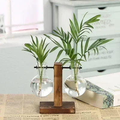 Hydroponic Glass Vase