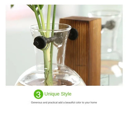 Hydroponic Glass Vase
