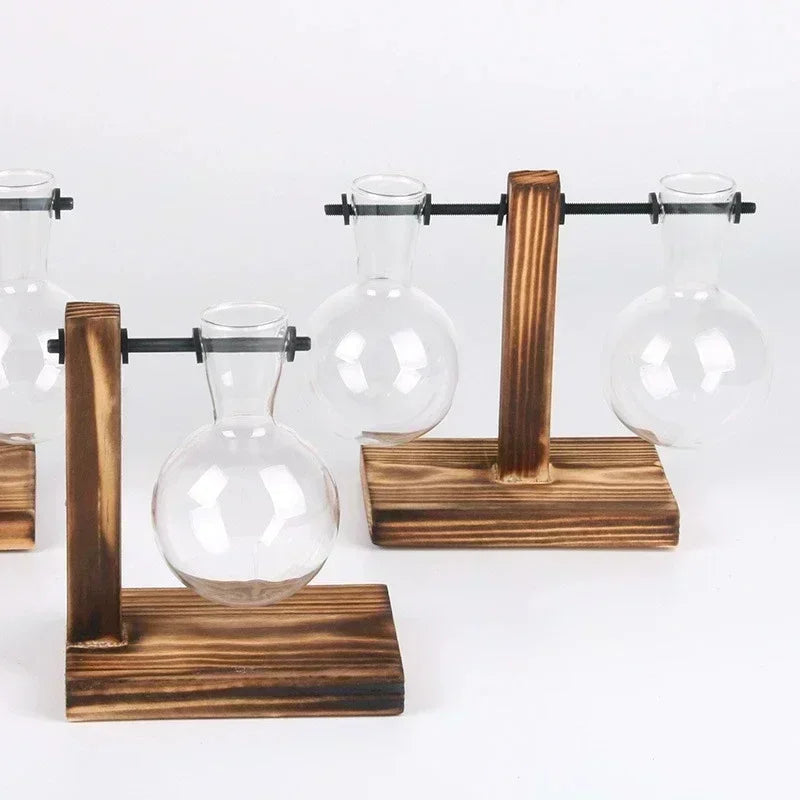 Hydroponic Glass Vase