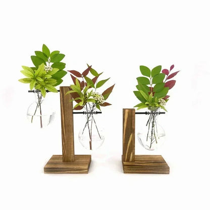 Hydroponic Glass Vase