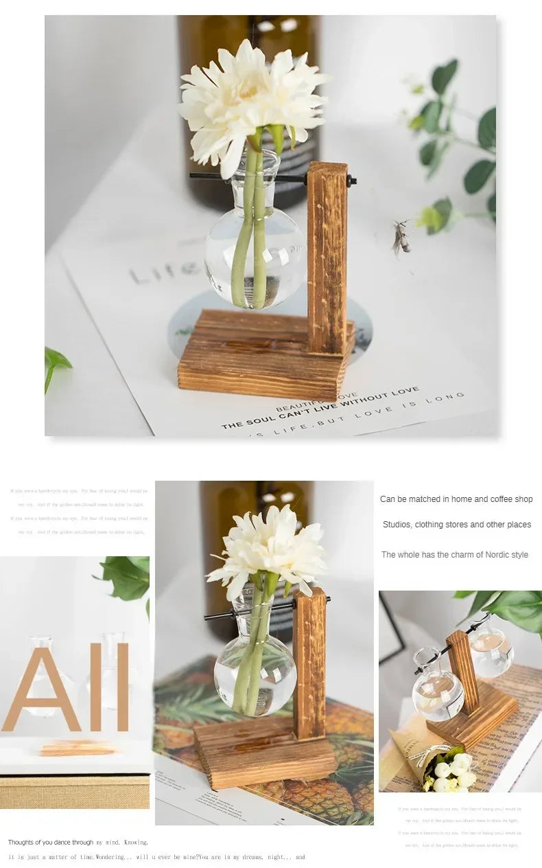 Hydroponic Glass Vase