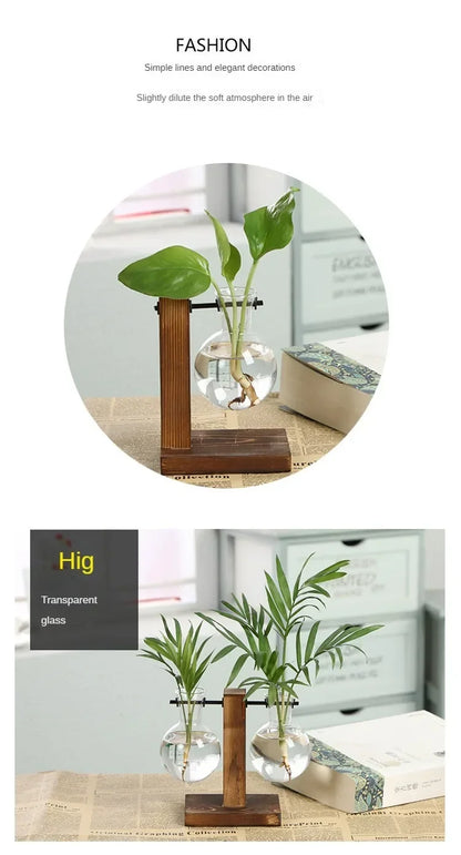 Hydroponic Glass Vase