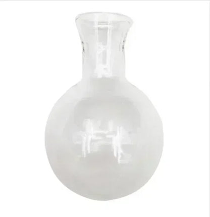 Hydroponic Glass Vase