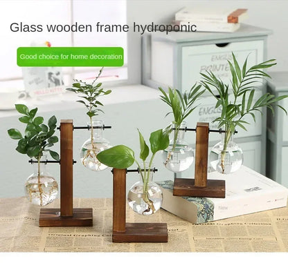 Hydroponic Glass Vase