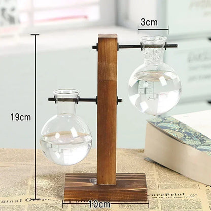 Hydroponic Glass Vase