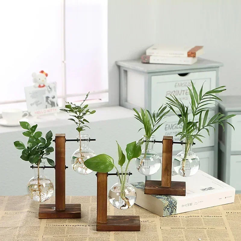 Hydroponic Glass Vase