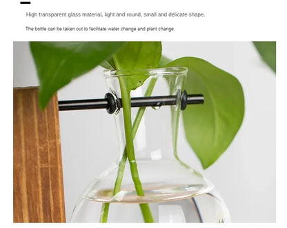Hydroponic Glass Vase
