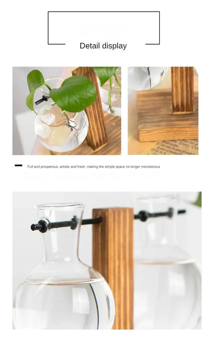 Hydroponic Glass Vase