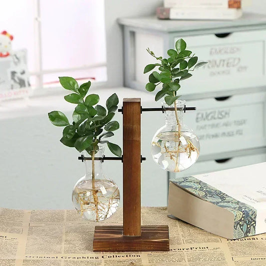 Hydroponic Glass Vase