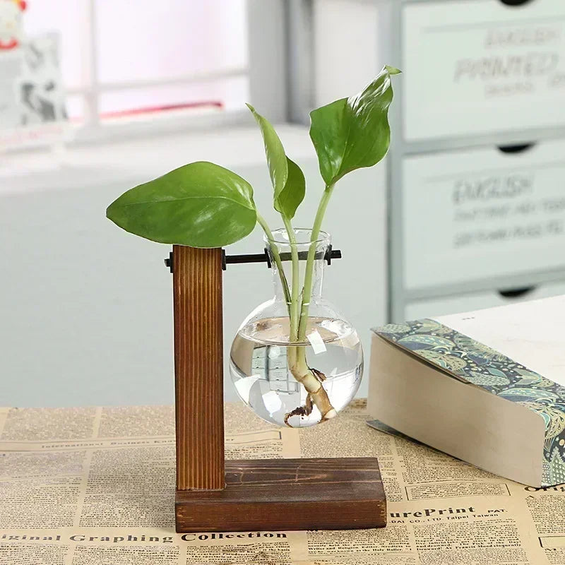 Hydroponic Glass Vase