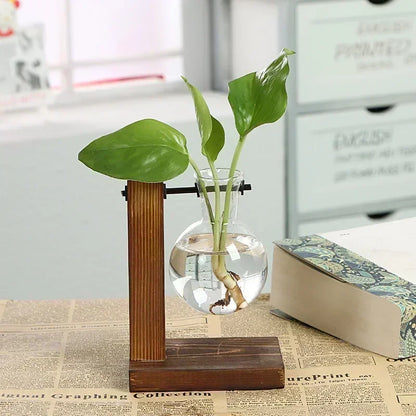 Hydroponic Glass Vase
