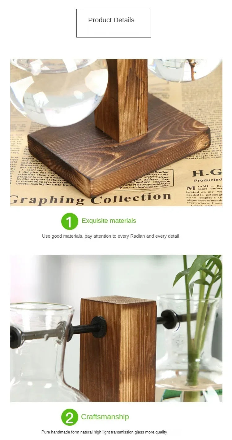 Hydroponic Glass Vase