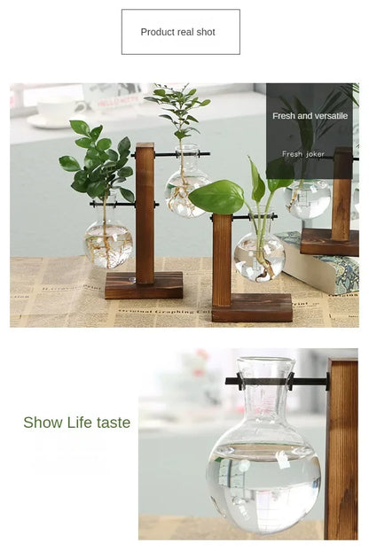 Hydroponic Glass Vase